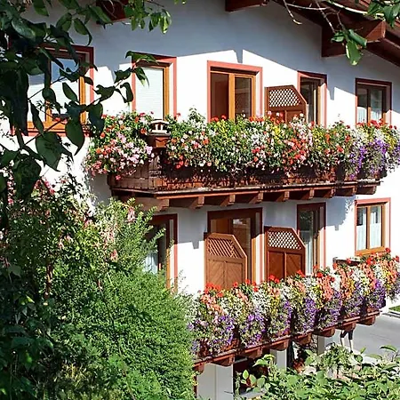 Bed & Breakfast Zimmervermietung Babsy 4*