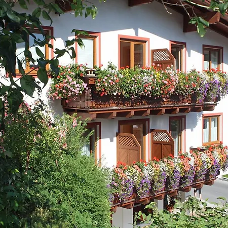 Bed & Breakfast Zimmervermietung Babsy