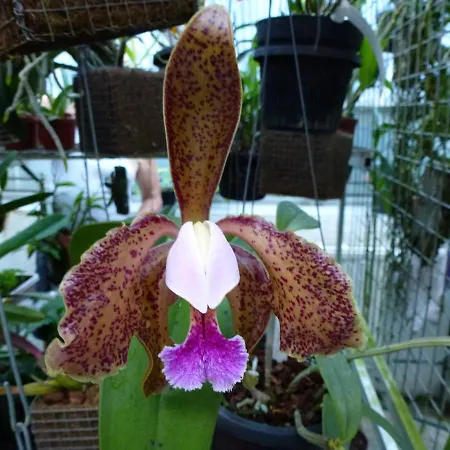 Zimmervermietung Babsy Zell am See